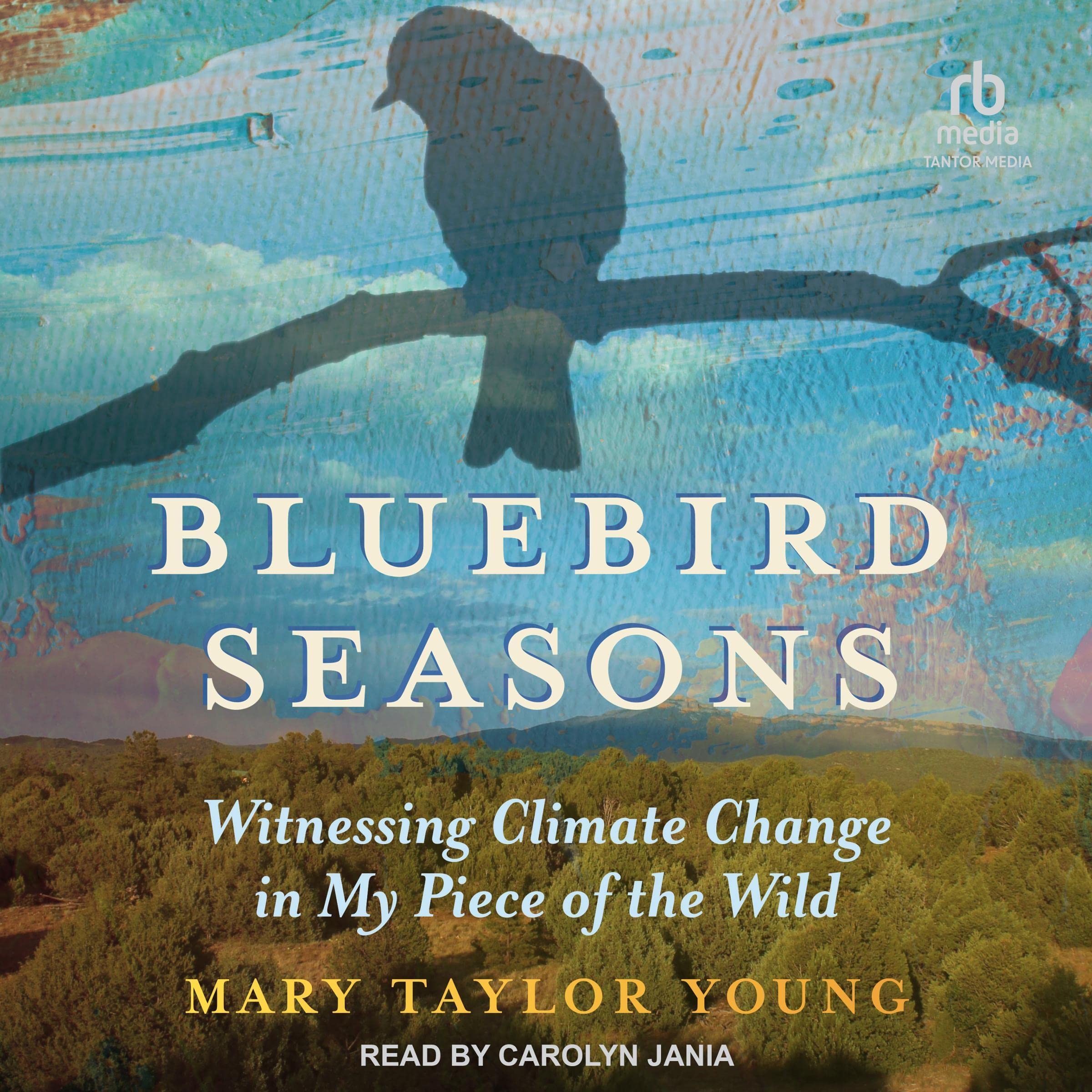 Bluebird Seasons book cover