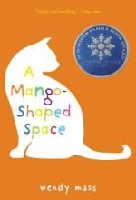 A Mango-Shaped Space : a novel Book Cover