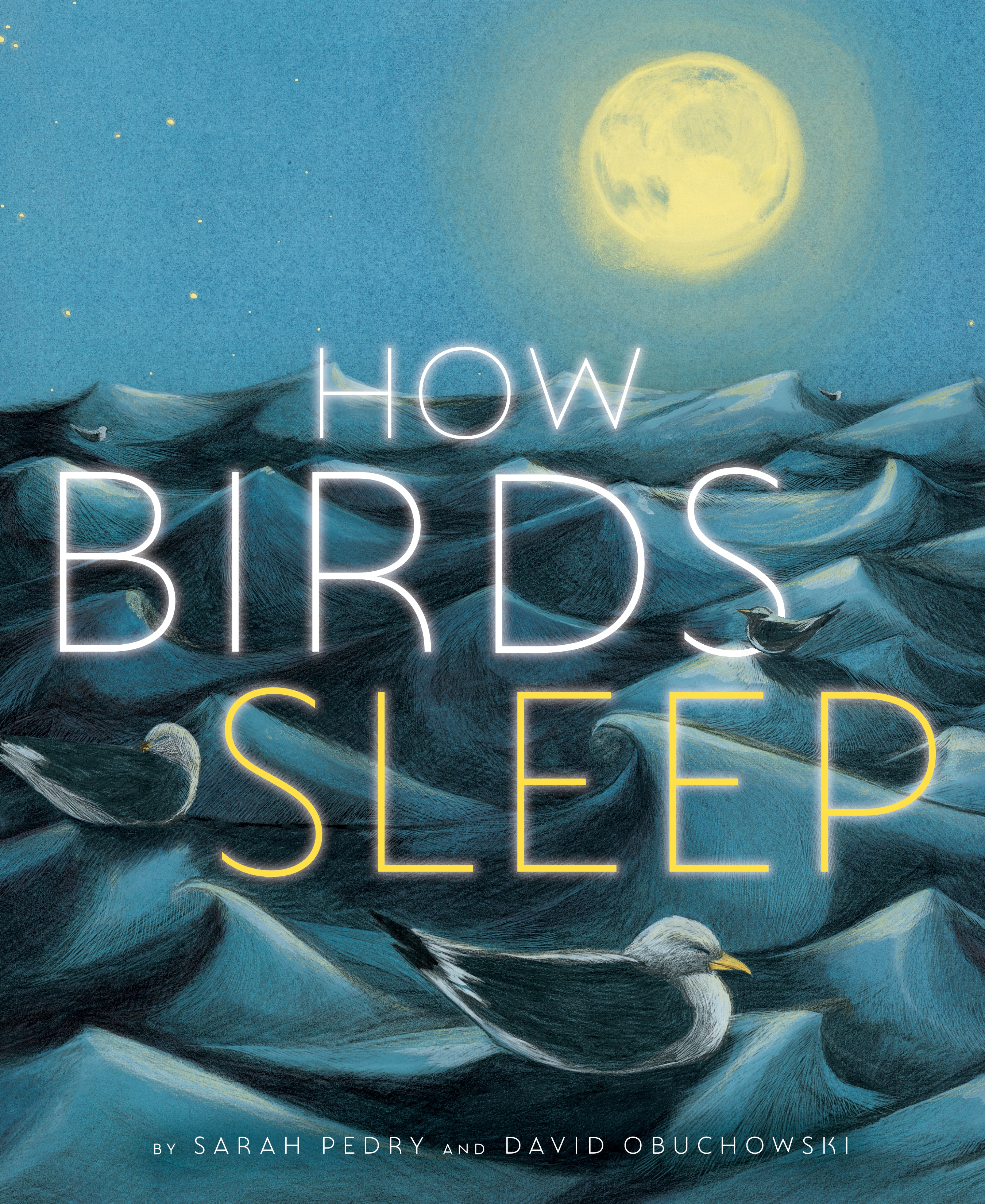 Cover of book with illustration of birds sleeping in the waves with moon in the background.