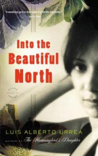 cover: into the beautiful north