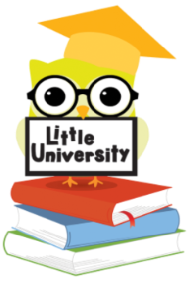 Little University Owl
