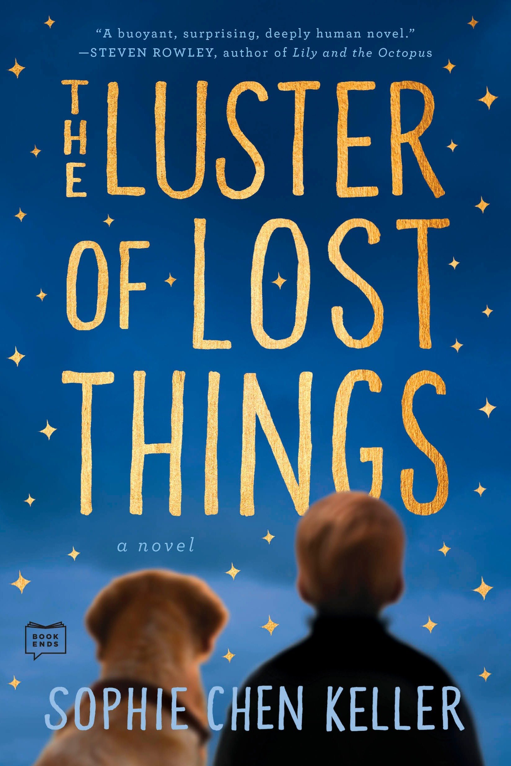 Luster of Lost Things by Sophie Chen Keller