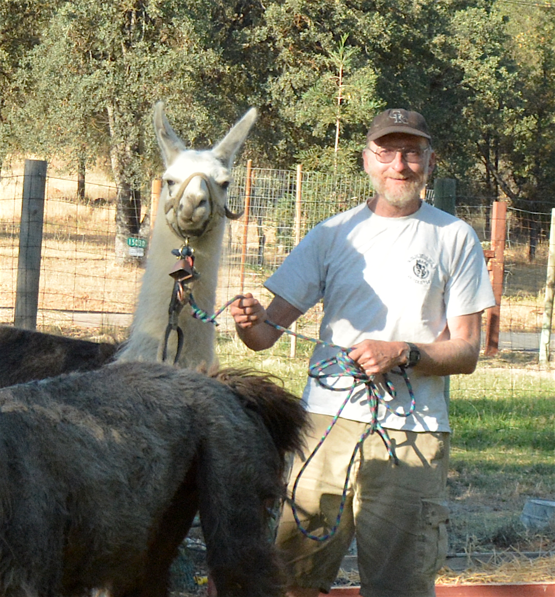 Craig Jones posing with a llama