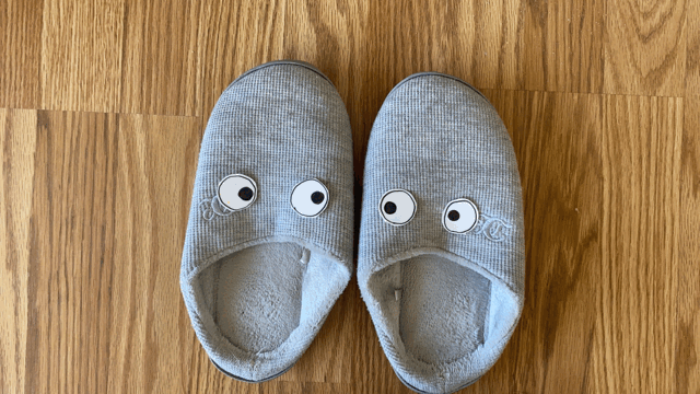 Slippers with Googly Eyes