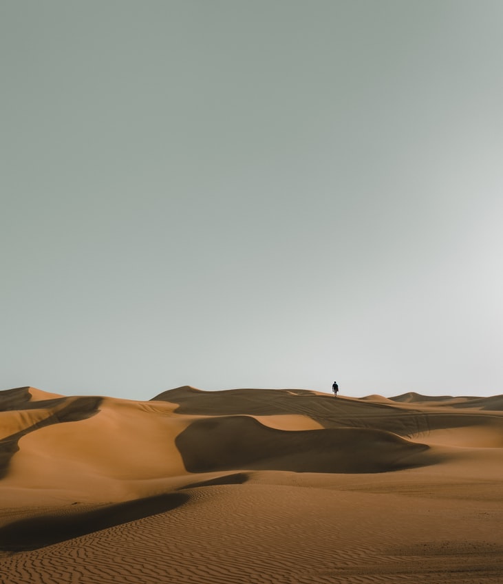 Photo of one person standing alone in a sandy landscape. 