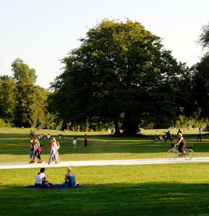 photo of a park