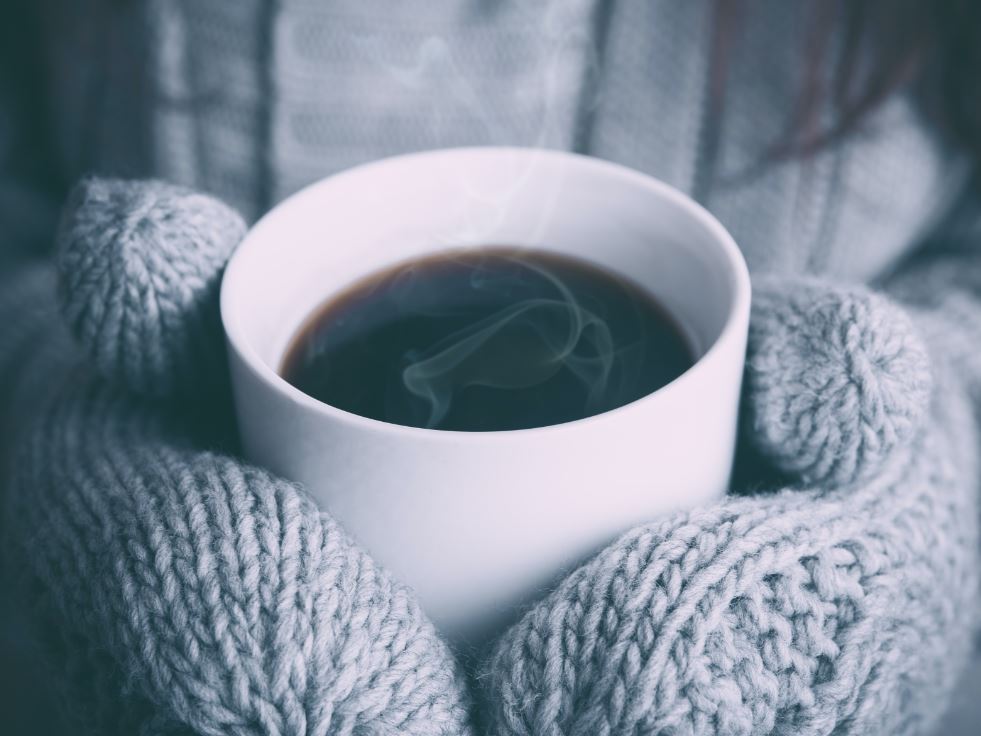 Photo by Alex Padurariu on Unsplash