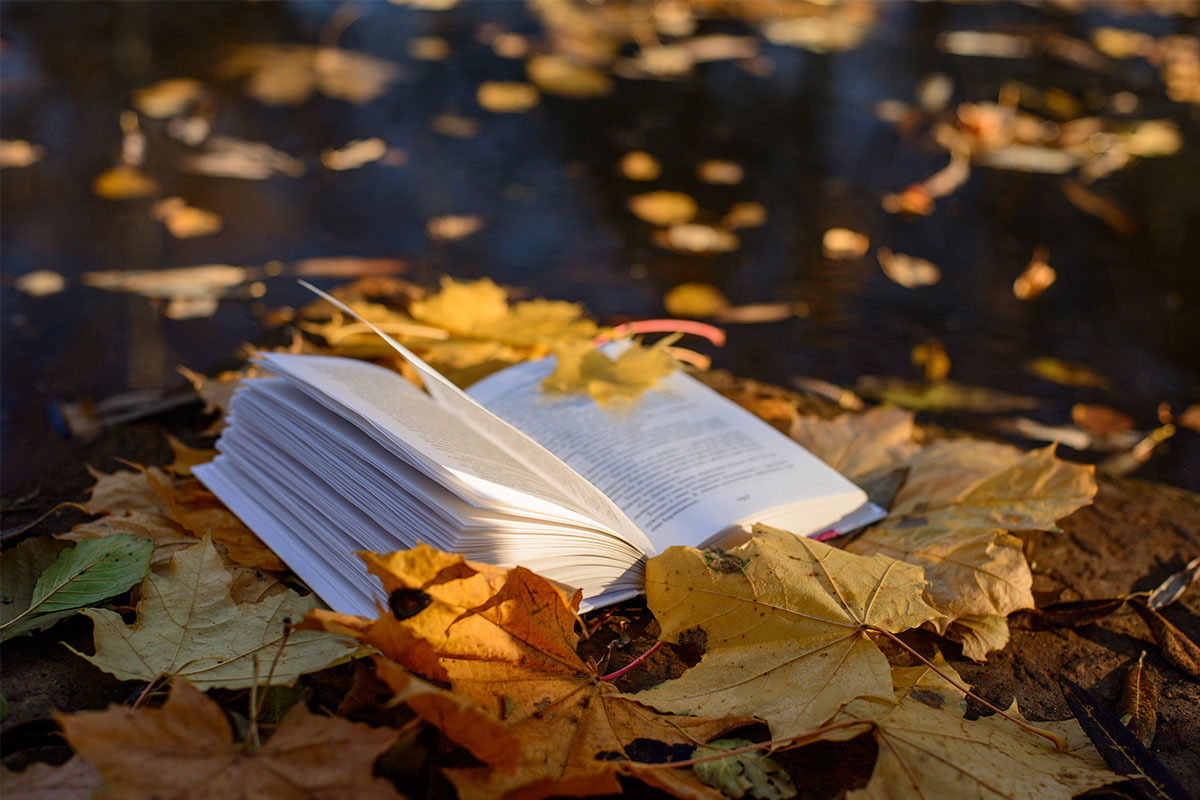 Book with pile of leaves