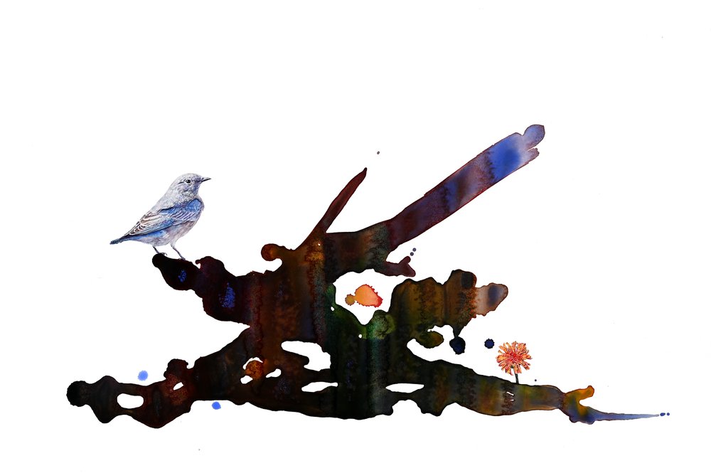 Bluebird and Mountain Dandelion by Anna Kaye