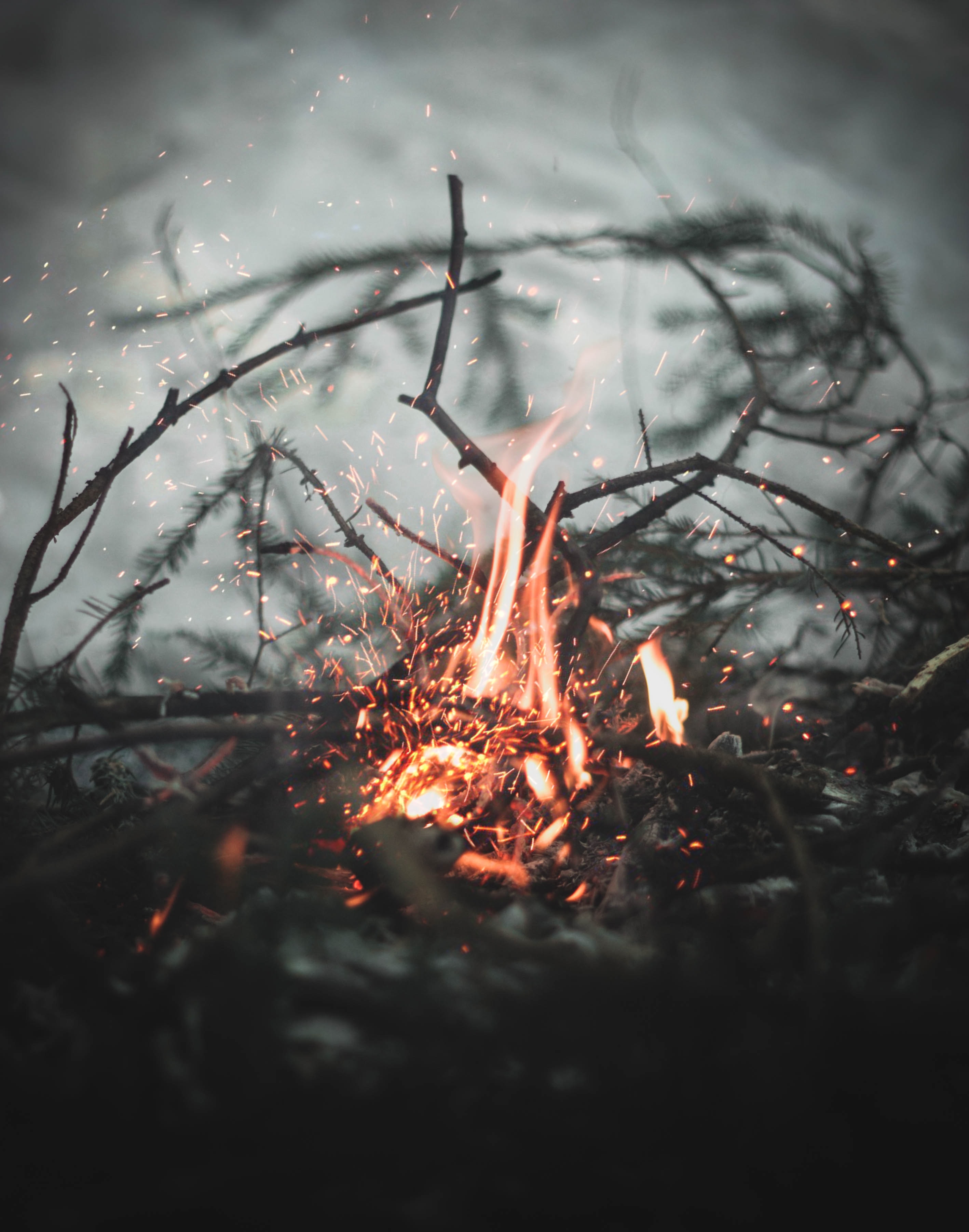 Photo by Gleb Lukomets on Unsplash