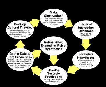 The steps in the scientific method