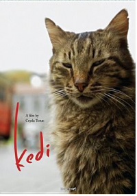 DVD Cover Kedi