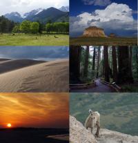 Images of public lands: Rocky Mountain National Park, Pawnee National Grassland, Great Sand Dunes, Muir Woods, Gulf Islands National Seashore, Mount Evans Wilderness  Photos by Ross Mays