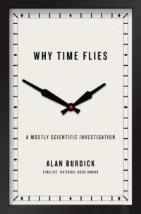 Book cover of Why Time Flies