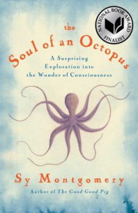 The soul of an octopus cover image