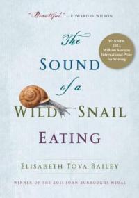 cover: the sound of a wild snail eating