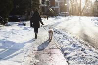Photo of woman walking her dog down a snowy sidewalk