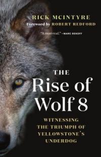 cover: the rise of wolf 8