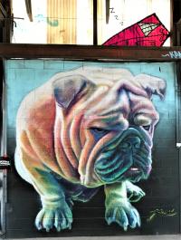 Art by Patrick Kane McGregor