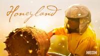 Honey