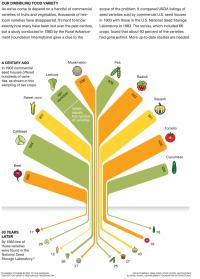 Infographic showing how many food varieties have been lost in the last 80 years