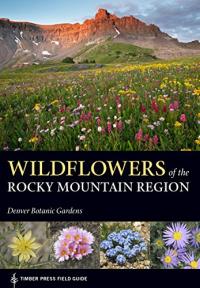 Cover of book with mountain views and wildflower fields