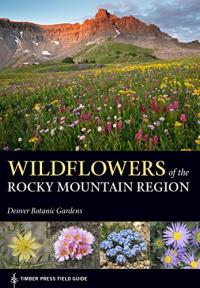 Cover of book with mountain views and wildflower fields