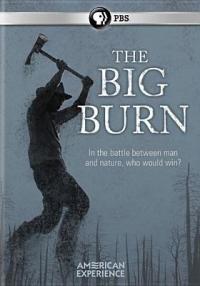 The Big Burn documentary cover