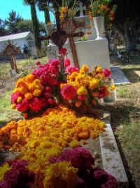 Photo of flowers at gravesite, by Jesus Perez, Creative Commons license