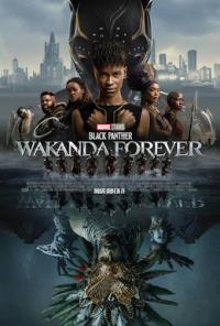 Black Panther: Wakanda Forever movie poster image