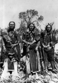 photo: Comanche Men, Charles Ohetant (Kiowa), Quinah Parker (the great leader of Comanches in the mid 19th century) Ahko Watchymamsookwat.  Traditional dress for men was long fringes of buckskin with hair in two long braids, adding horse hair to lengthen them.Western History Digital Collections, x-32188