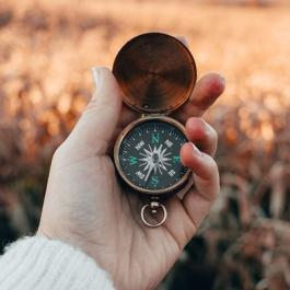 Person holding a compass
