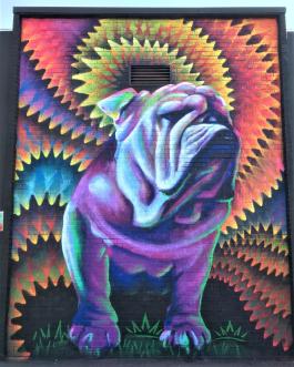 Art by Patrick Kane McGregor