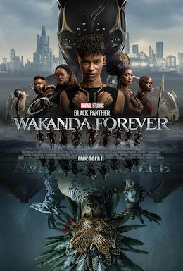 Black Panther: Wakanda Forever movie poster image