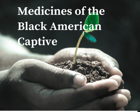 Medicines of the Black American Captive with Community Herbalist Monticue Connally