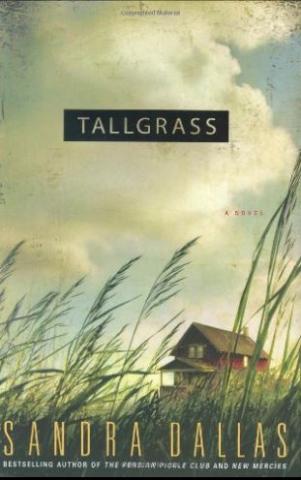 book cover of sky with clouds, grass, and a distant house