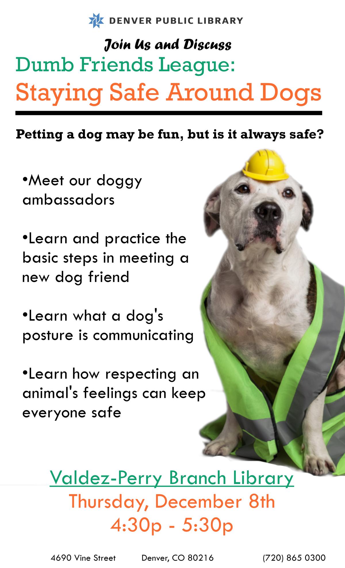 picture of dog in safety vest and hard hat