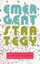 Cover Emergent Strategy