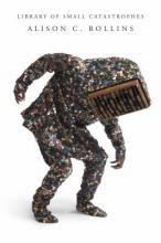 Library of Small Catastrophes Book Cover