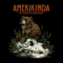 Cover of the music album Amerikinda