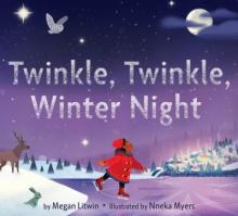 Twinkle, Twinkle, Winter Night Book Cover
