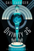Divinity 36 Book Cover