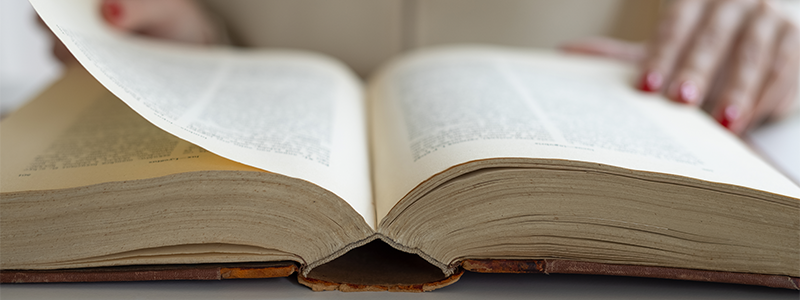 Opened Dictionary