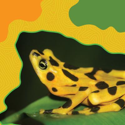 Close-up of a bright yellow and black spotted frog sitting on a green leaf, with a stylized yellow, orange, and green background pattern.